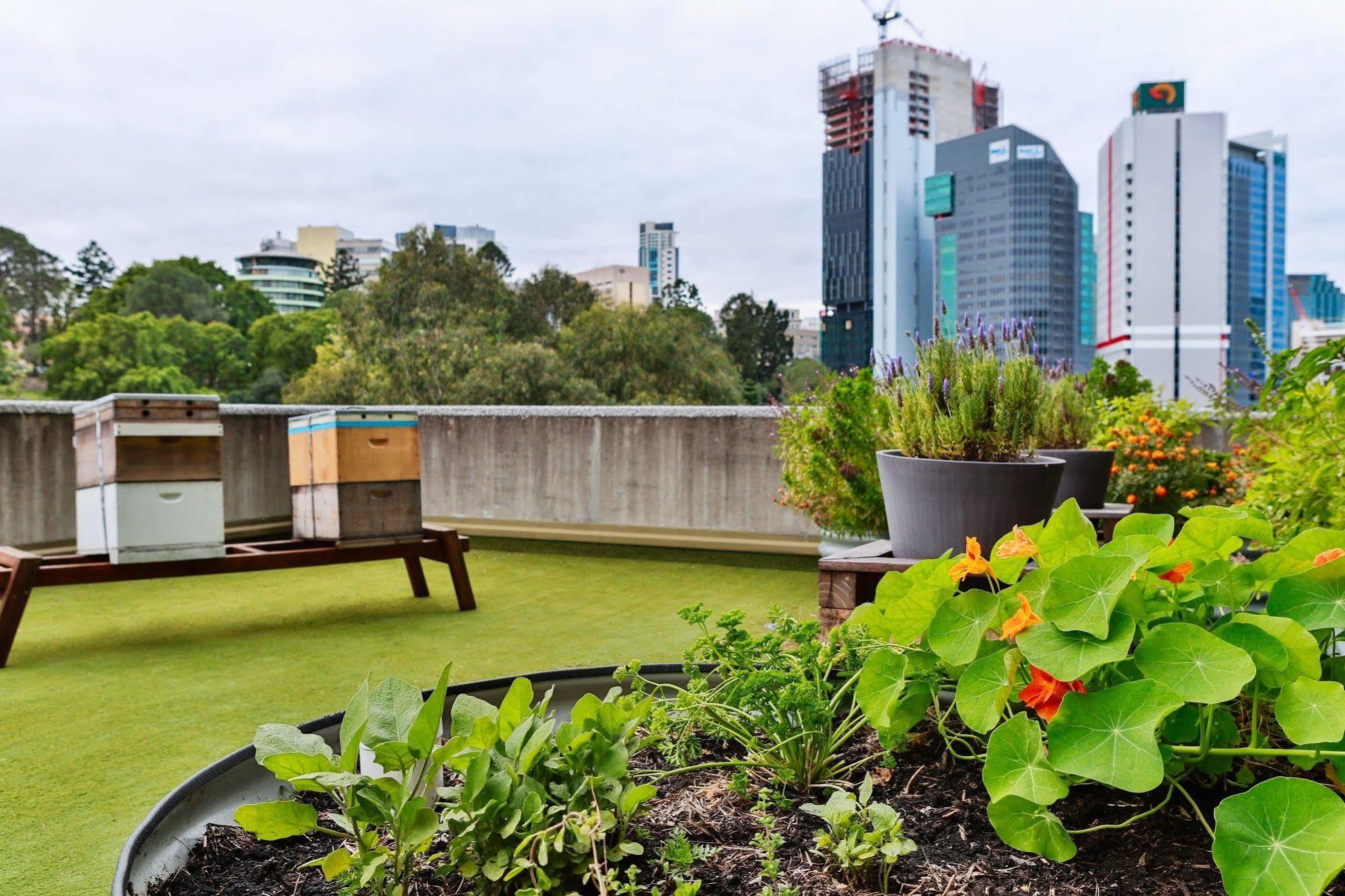 Hotel Jen Brisbane Eksteriør bilde